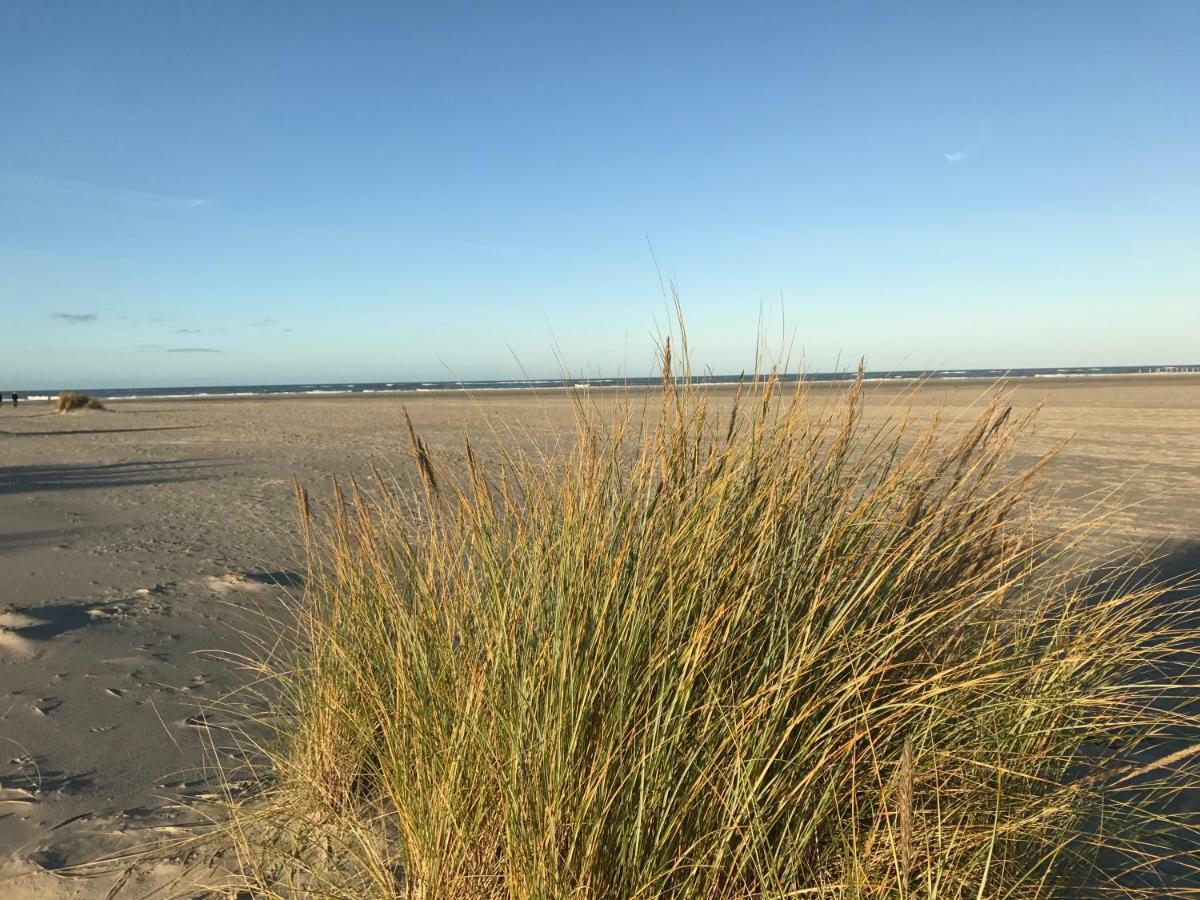Strandlogement Om De Noord Schiermonnikoog Extérieur photo